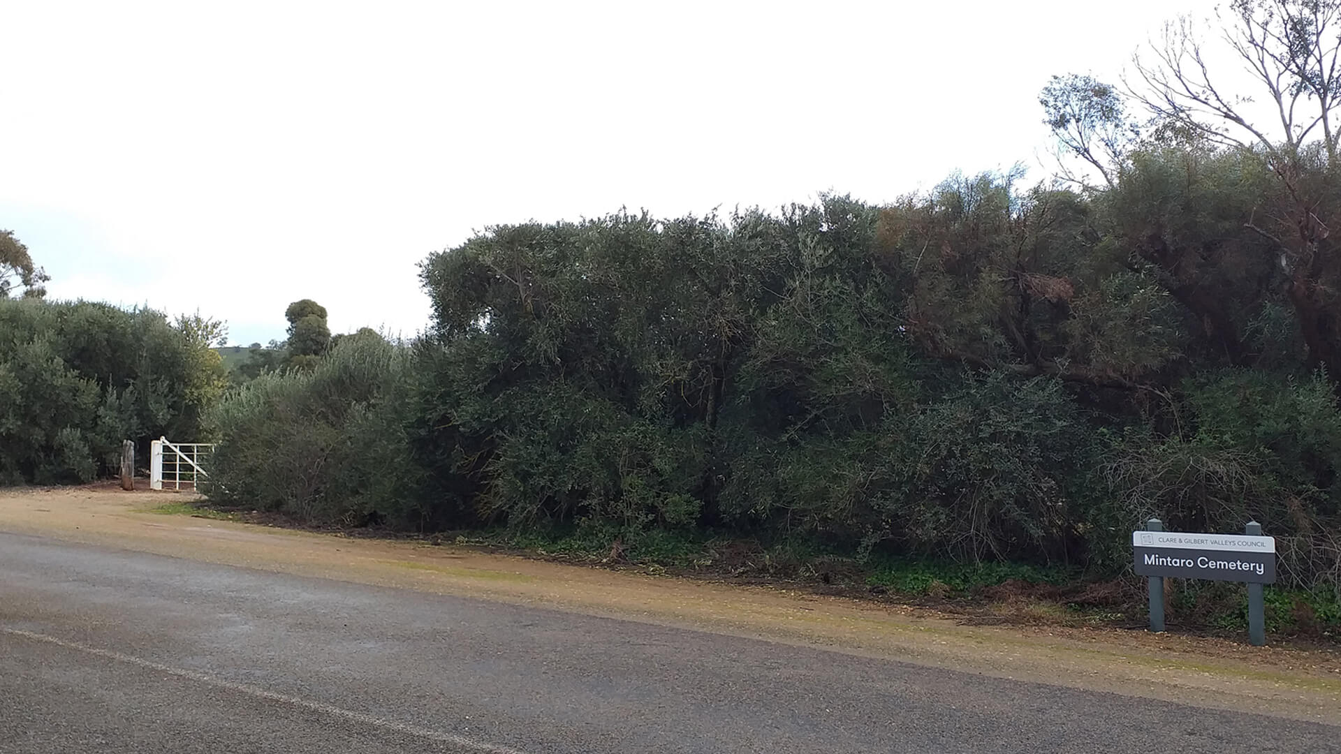 Mintaro cemetery, hedge and main entrance, Slate Quarry Rd, 2022. (MPA/pgm)